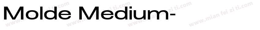 Molde Medium字体转换